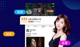 性爱直播软件,暗流涌动的网络世界